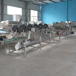 樱桃番茄气泡清洗空气干燥分选机橄榄加工生产线 - Product Image 2