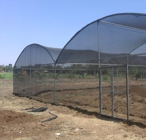 HDPE-Schattennetz Monofilament-Gärnhäuse-Schattennetz 50 % UV-Sonnenblende Netzrolle für Landwirtschaft