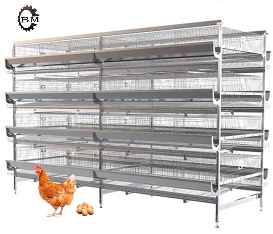 Suministro de fábrica 256 jaula para pollos y pájaros Precio competitivo 32/40/48/96/120/128/160 Uso duradero de pollos, aumentar las granjas de producción de huevos