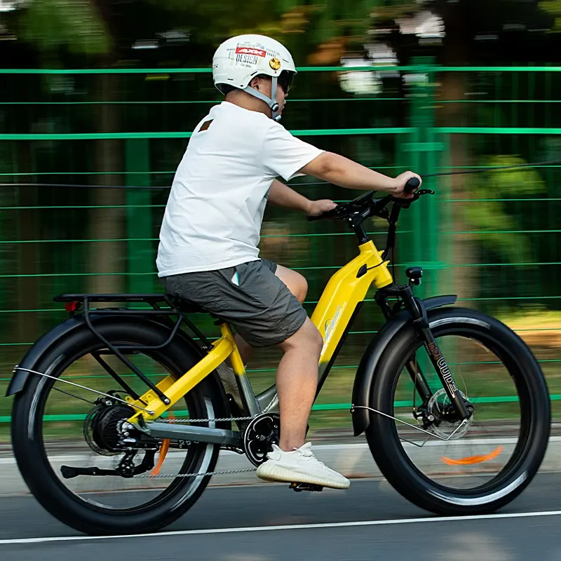 Yüksek kaliteli elektrikli dağ bisikleti plaj kruvazörü 48v shimano tork sensörü bicicleta electrica 1000w kenda 26 "ebike ebike