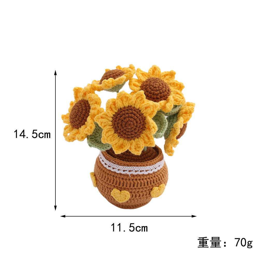 Planta de girasol de cinco cabezas en maceta (maceta de hilo)