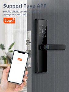 Di alta qualità Tuya Wifi Smart serratura della porta per appartamento a casa di impronte digitali maniglia della scheda App telecomando nuvola di controllo per il vetro