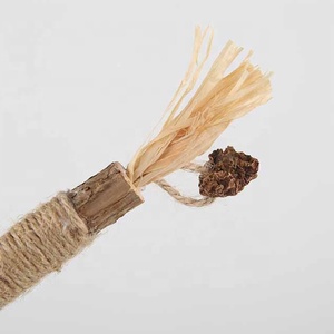 Funny <strong>Catnip</strong> Stick Insect Gall Fruit Stick and Stick Bites Cat Cleaning Teeth Tooth Powder Cat Toy <strong>Catnip</strong>