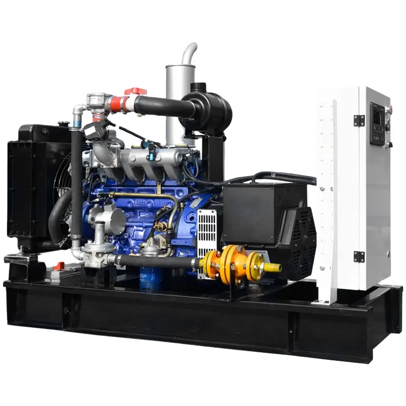 Schall dichter leiser Standby-Erdgas-NG/Flüssigpropan-LPG-Generator mit zwei Kraftstoffen 12-500kW elektrisches Aggregat