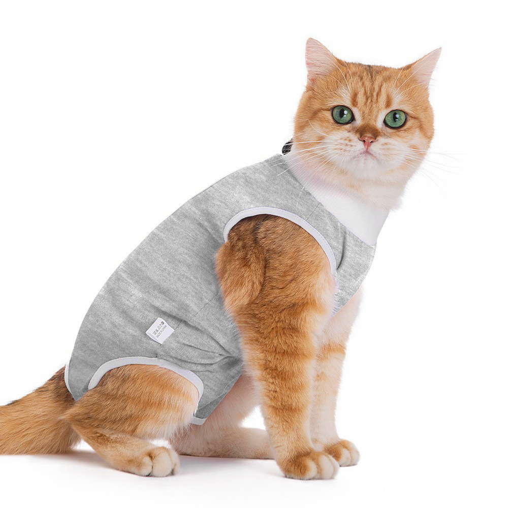 Pet incontinence pants-gray