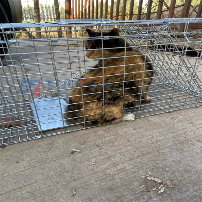 Fallen käfig Ideal zum Einfangen von Eichhörnchen, fliegenden Eichhörnchen, Streifen hörnchen, Wieseln, Kaninchen und Ratten