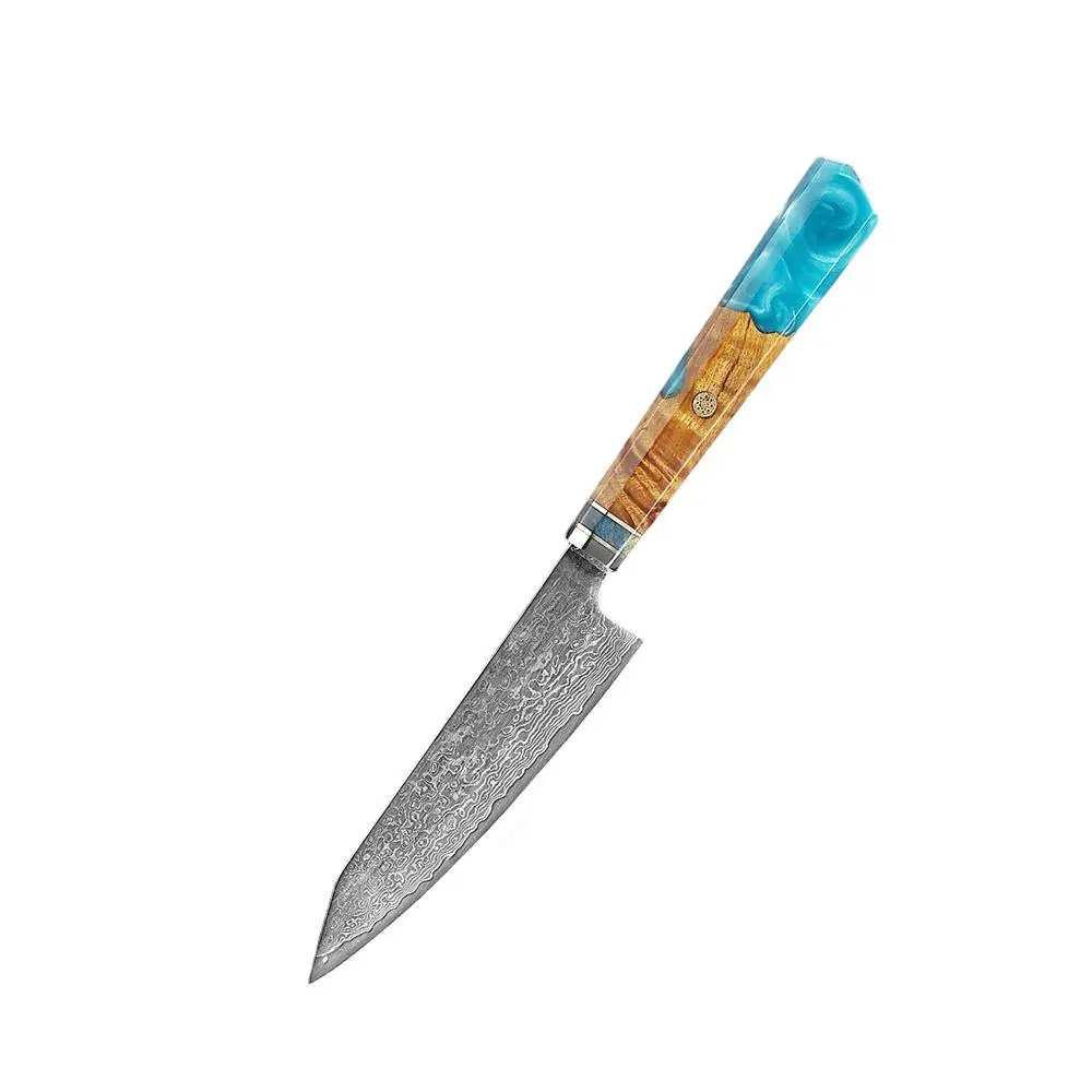 Coltello giapponese XITUO coltello da cucina damasco 5 pollici coltello da cuoco VG10 67 strato affilato rasoio taglio frutta intaglio coltelli da cucina