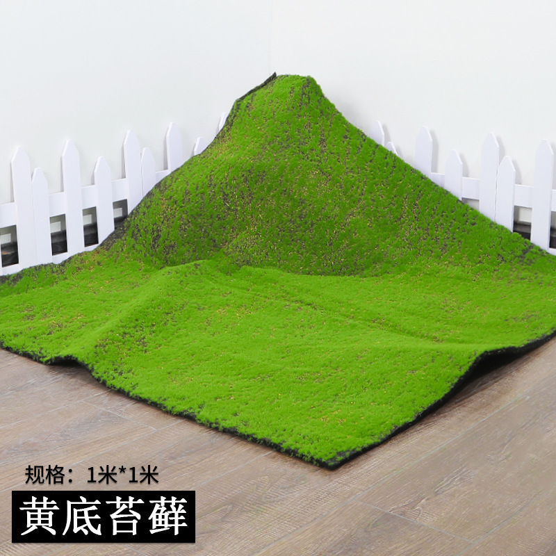 Yellow-base moss-11 meter