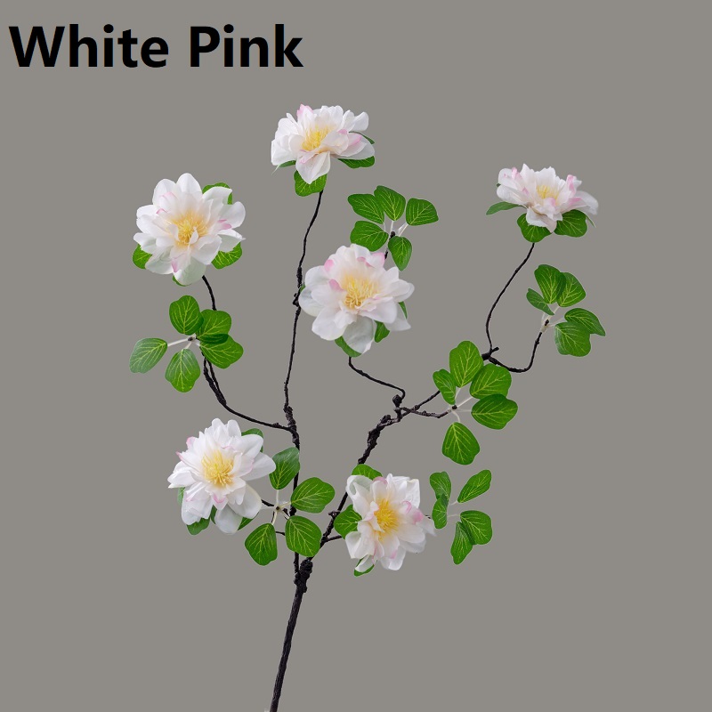 Blanc Rose