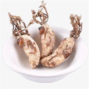 多糖類Isaria Cicadae Miquel Cordyceps Ciecadaeエキス30% 工場供給