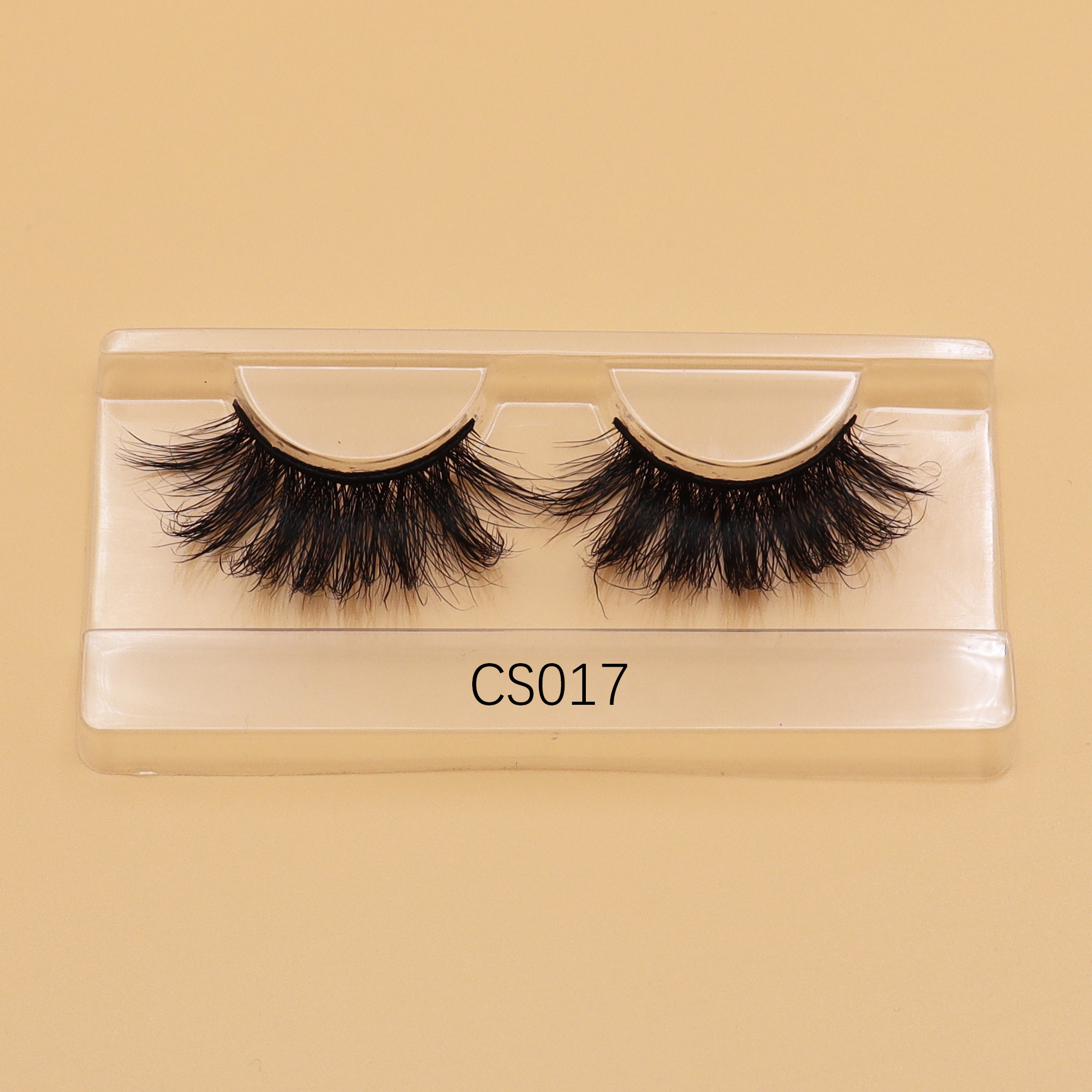 CS17