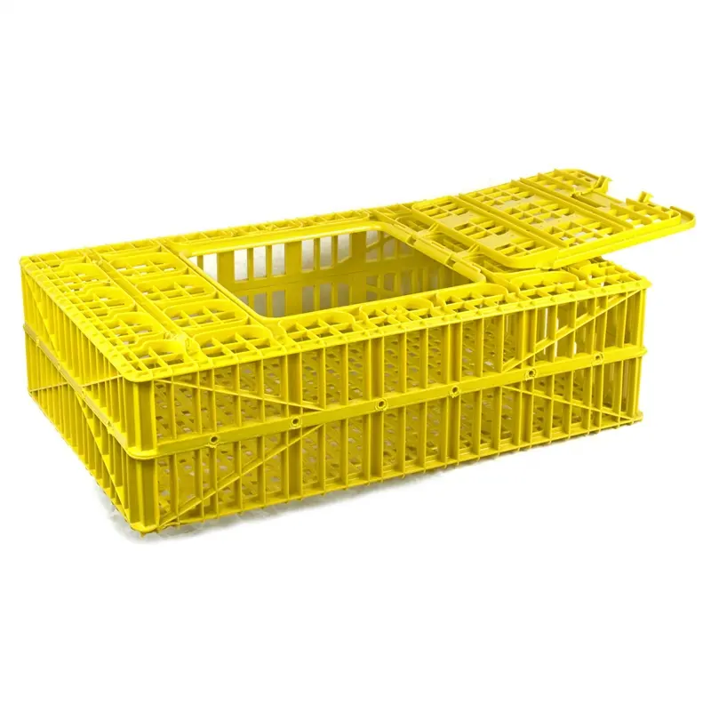 Bestseller auf dem amerikanischen Markt 35 ''x 23,5'' x 10,25 ''langlebiger Kunststoff Geflügel Huhn Transport kiste Coop mit Flügeltür