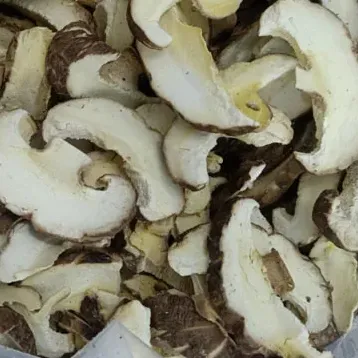 Champignons shiitake lyophilisés en vrac nourriture fd pour soupe rapide nutrition aliments santé manger directement des légumes lyophilisés