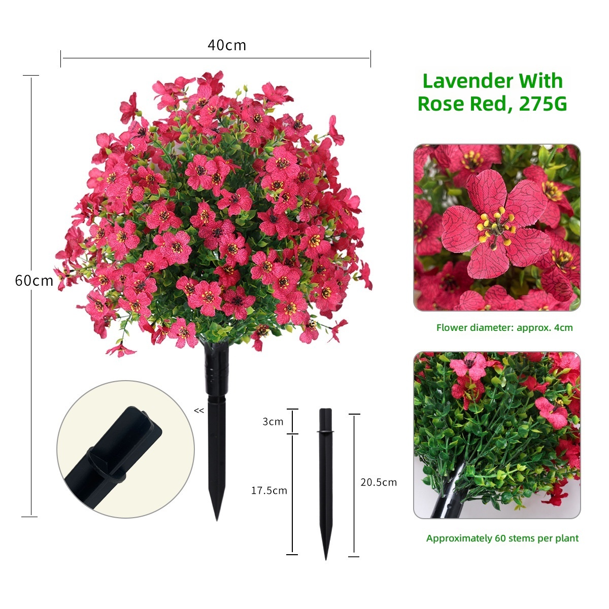 Violet ground rose red
