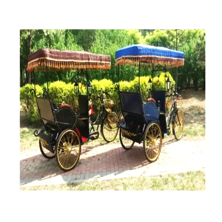 Carruaje eléctrico de alta calidad Rickshaw Triciclo de pasajeros Pedicab Rickshaw Bicicleta Pedal Triciclos Cargo 3 Ruedas para la venta