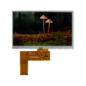 Wandisplay MP4 LCD 7 بوصة 800X480 LCD مقاوم للمس 40 دبوس 7 بوصة شاشة عرض Schermo TFT وحدة العرض - Product Image 1