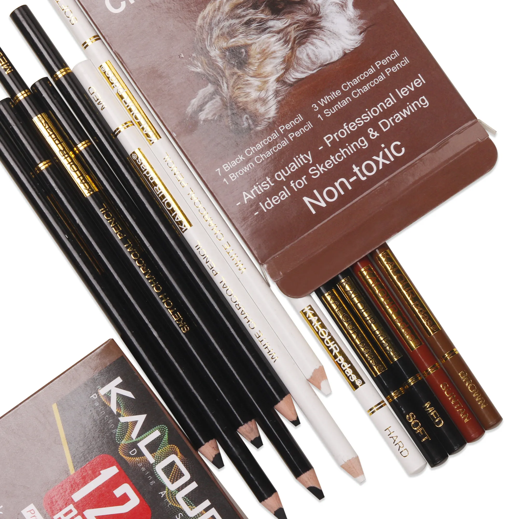 कला आपूर्ति के रूप में स्केचिंग और ड्राइंग पेंसिल सेट के लिए पेपर बॉक्स में KALOUR 12 काले मिश्रित सफेद काले रंग की चारकोल पेंसिल