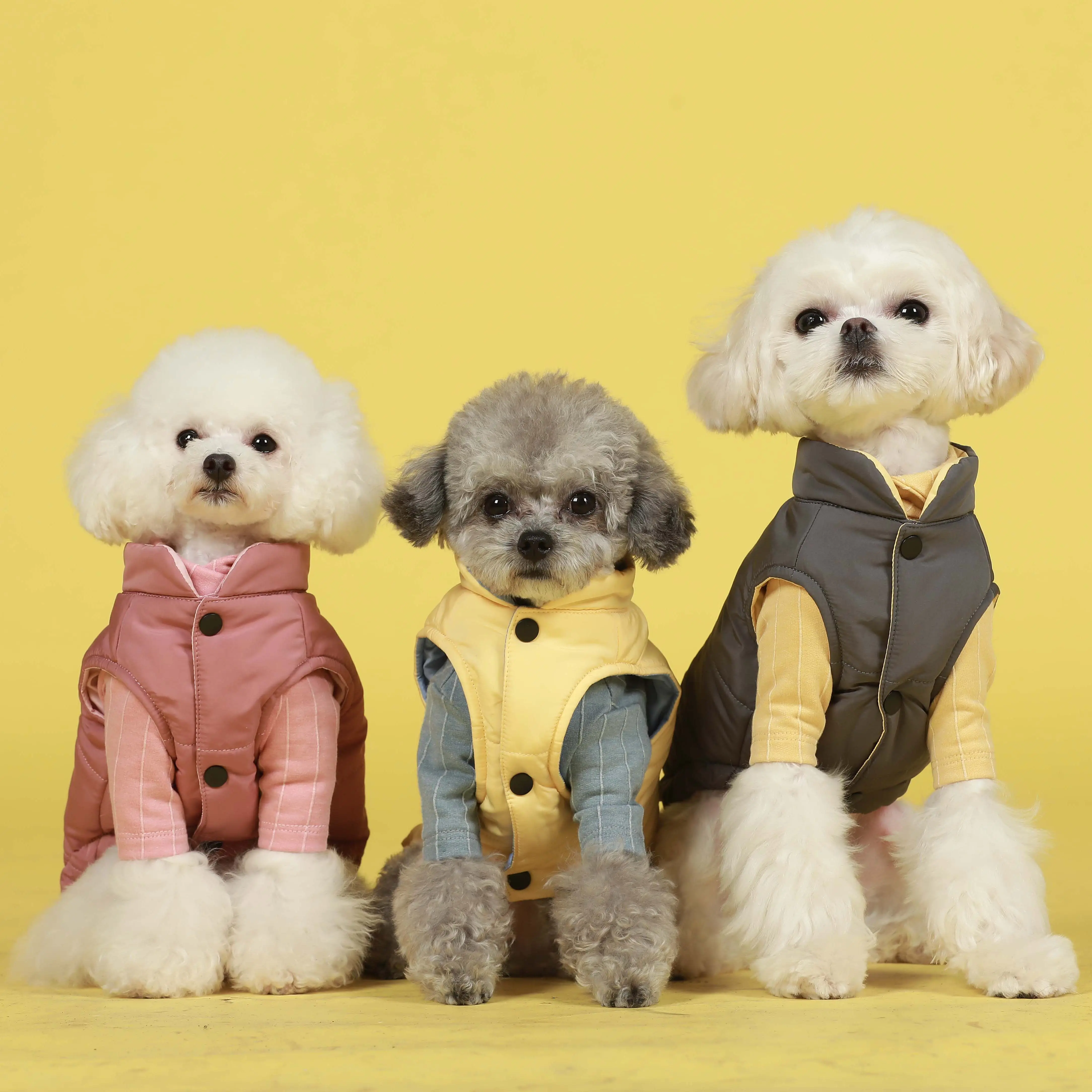Gilet imperméable pour chien, manteaux de luxe, vêtement animaux de compagnie, adapté au chien