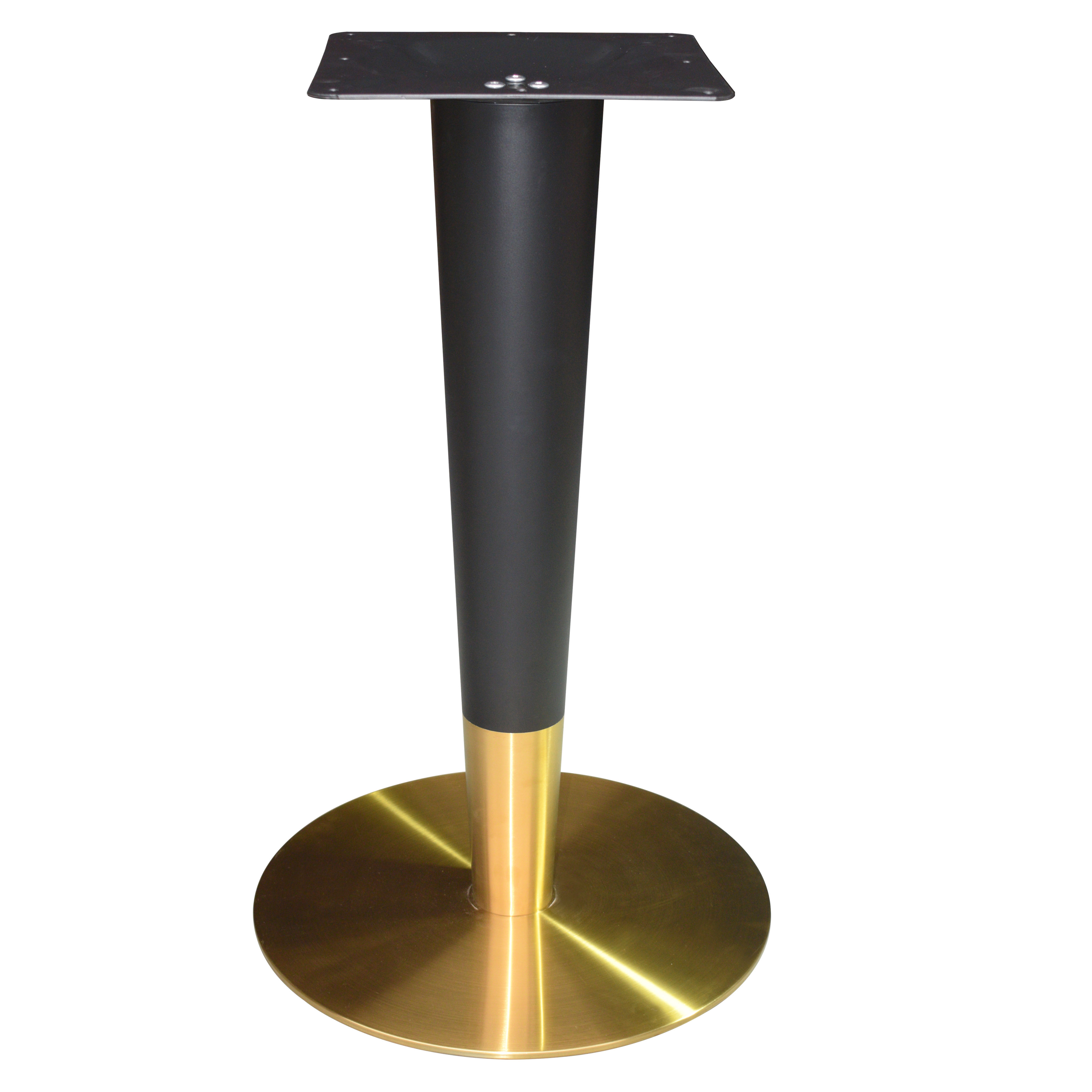 Acier inoxydable plaqué or et noir
