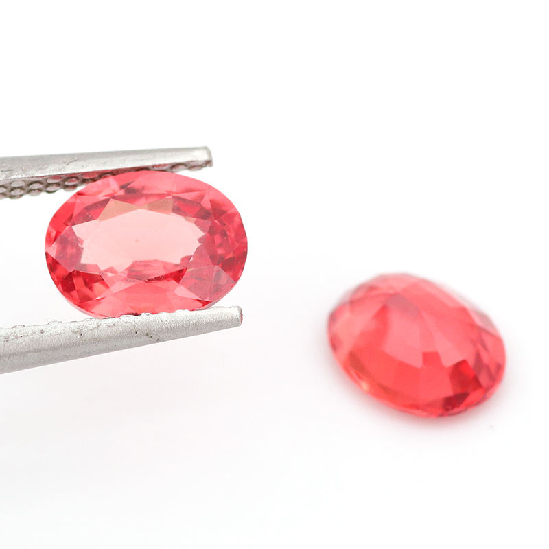 Paparacha laboratoire