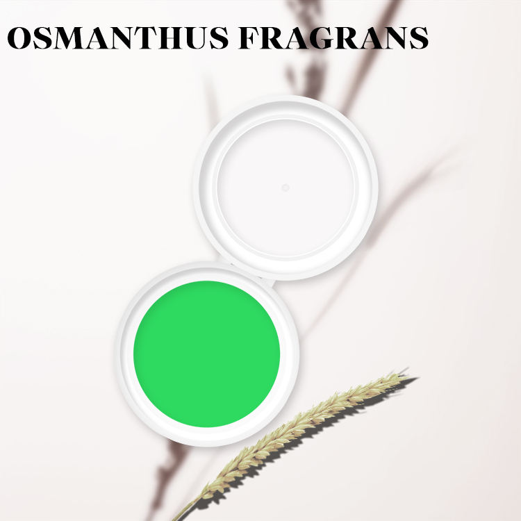 น้ำหอมออสแมนทัส