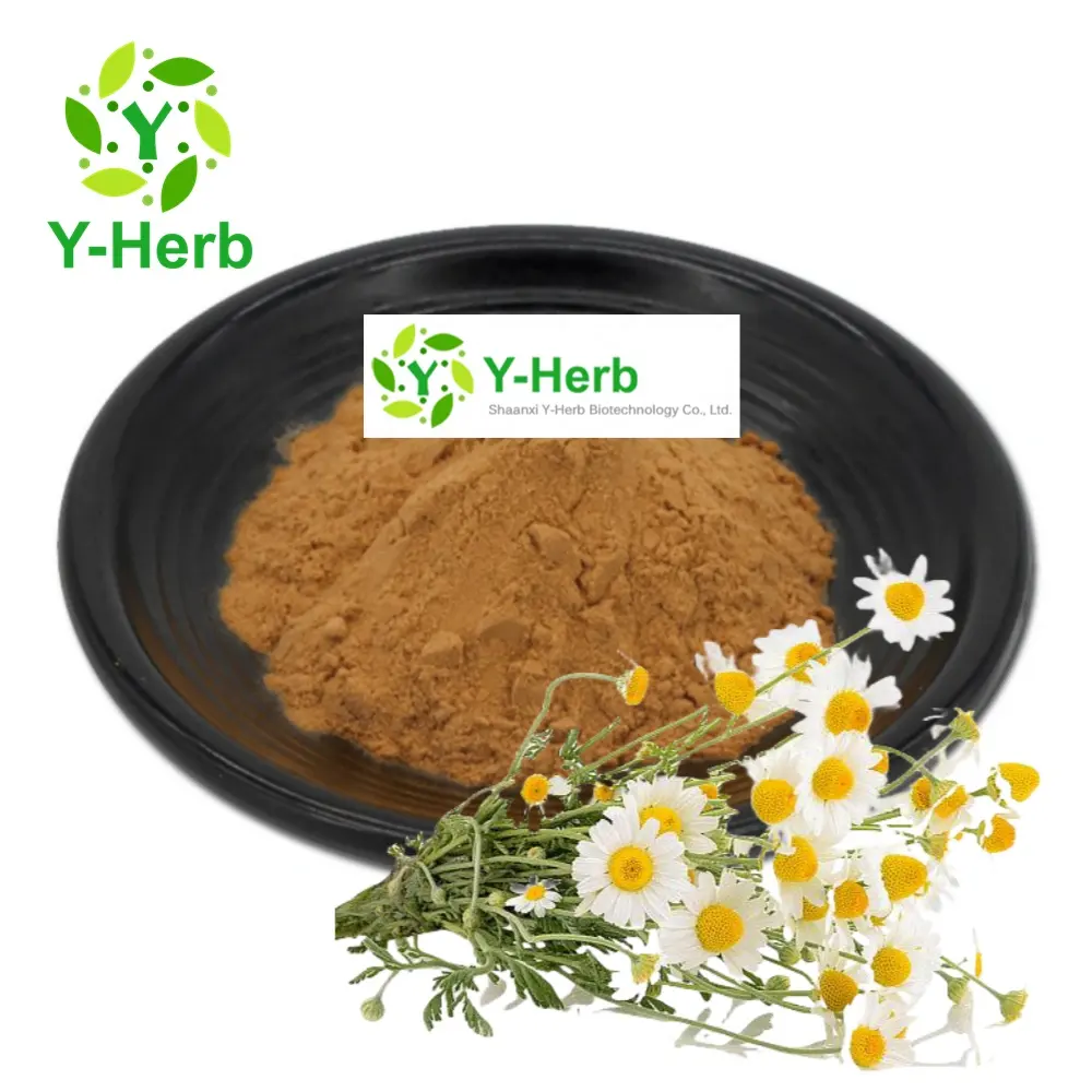 Polvo de extracto de flor de Yang Gan Ju/Chamomilla seco 100% Soluble en agua 10:1 Matricaria Recutita/extracto de Chamomilla