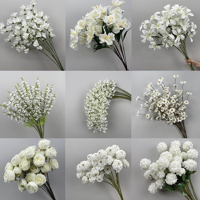 Blanc