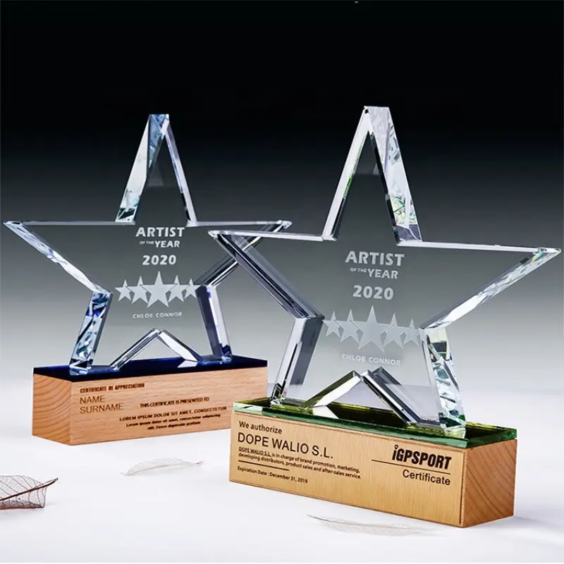 Custom Bedrijf Jaarlijkse Bijeenkomst Creatieve Kristallen Ambachten Souvenir Blanco Glas Awards Aangepaste Glazen Kristallen Trofee