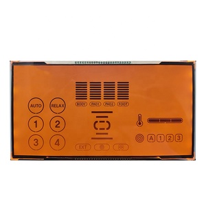 Módulos LCD TN Retroiluminación naranja transmisiva positiva Pantalla LCD de caracteres monocromáticos de 8,75 pulgadas - Product Image 1