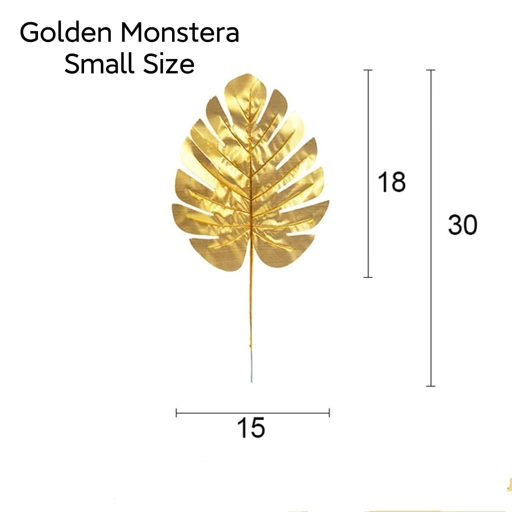Monstera doré petit
