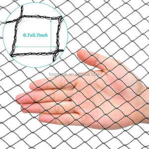 4M 6M Knotless Black Anti Bird <strong>Netting</strong> for Vineyard Plastic Net Agricultural Garden - Product Image 2