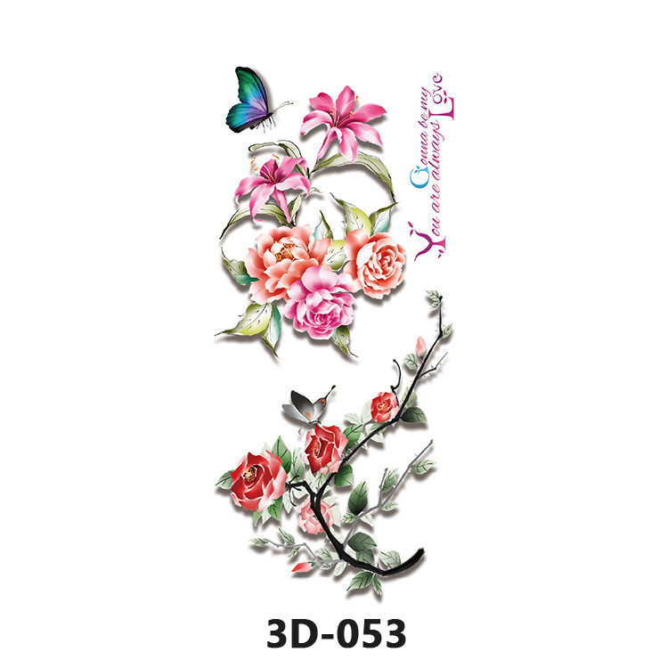 3D-053