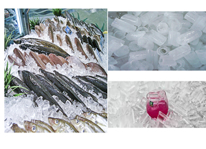 フレーク製氷機2トン淡水スノーフレーク魚用 - Product Image 2