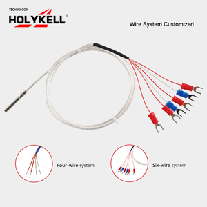 Holykell Pt 100 <strong>Temperature</strong> <strong>Sensor</strong> <strong>Controller</strong> Pt100 <strong>Temperature</strong> <strong>Sensor</strong> Datasheet - Product Image 6