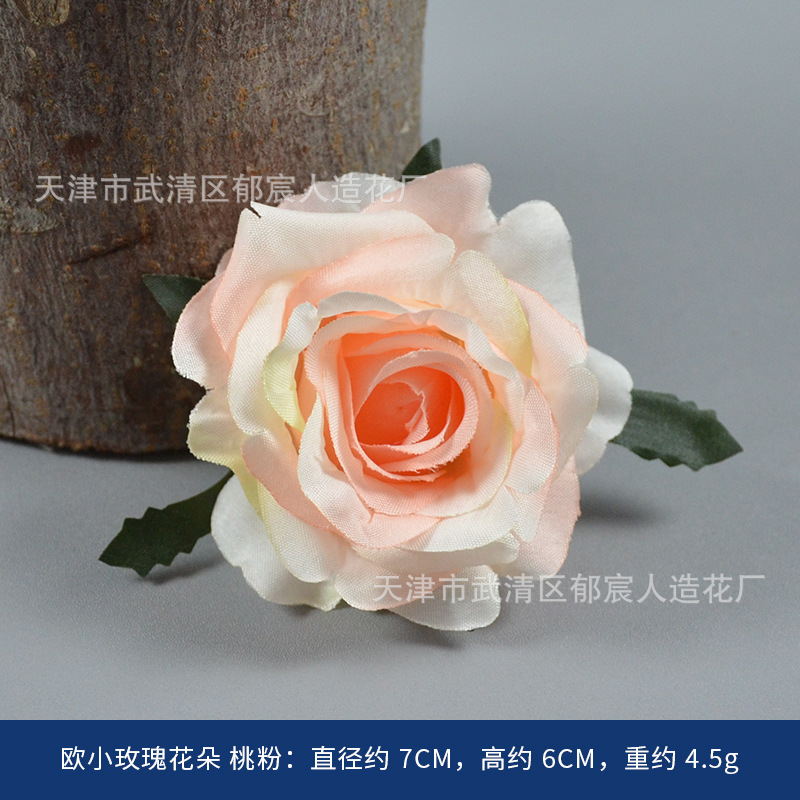 Poudre de pêche à la petite fleur de rose européenne