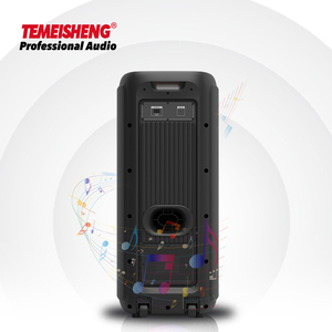 Temeisheng 10 'X2 woofer luz circular portátil inalámbrica-BT Potente sistema de cine en casa caja de altavoz multifunción - Product Image 5