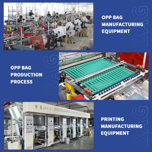 Custom Printed Clear OPP Plastic <strong>Bags</strong> <strong>with</strong> Colorful <strong>Header</strong> Designs for Wholesalers' Packaging - Product Image 4