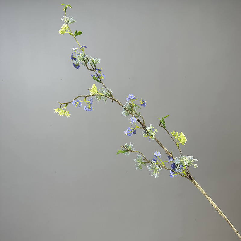 Salice blu delle nevi