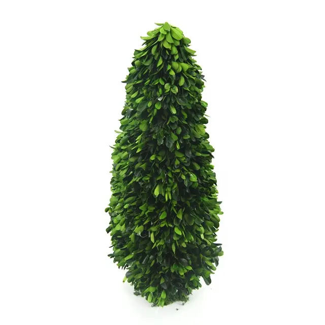 도매 식물 topiary potting 만들기 장식 정원 용품 자연 녹색 보존 lobular 회양목