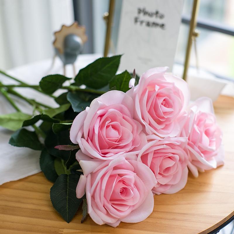 Rose rose 9
