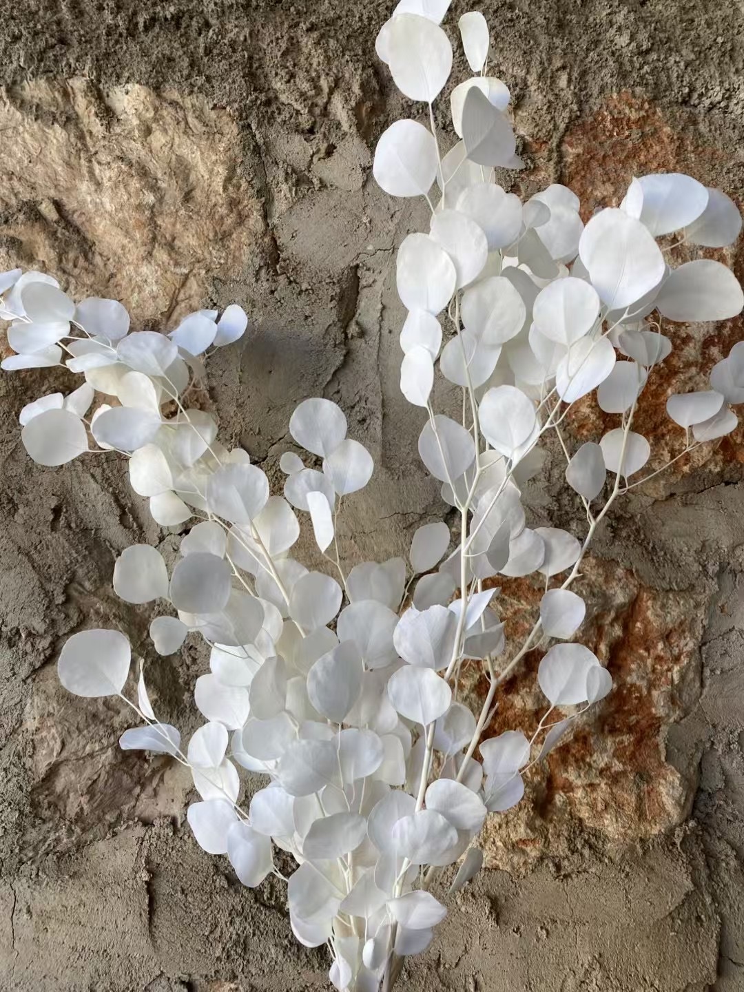 Blanco