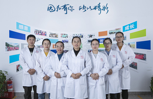 Phụ gia thực phẩm chất làm ngọt Maltodextrin độ tinh khiết 99% de 8-10 bột CAS 9050-36-6 nhà máy - Product Image 5