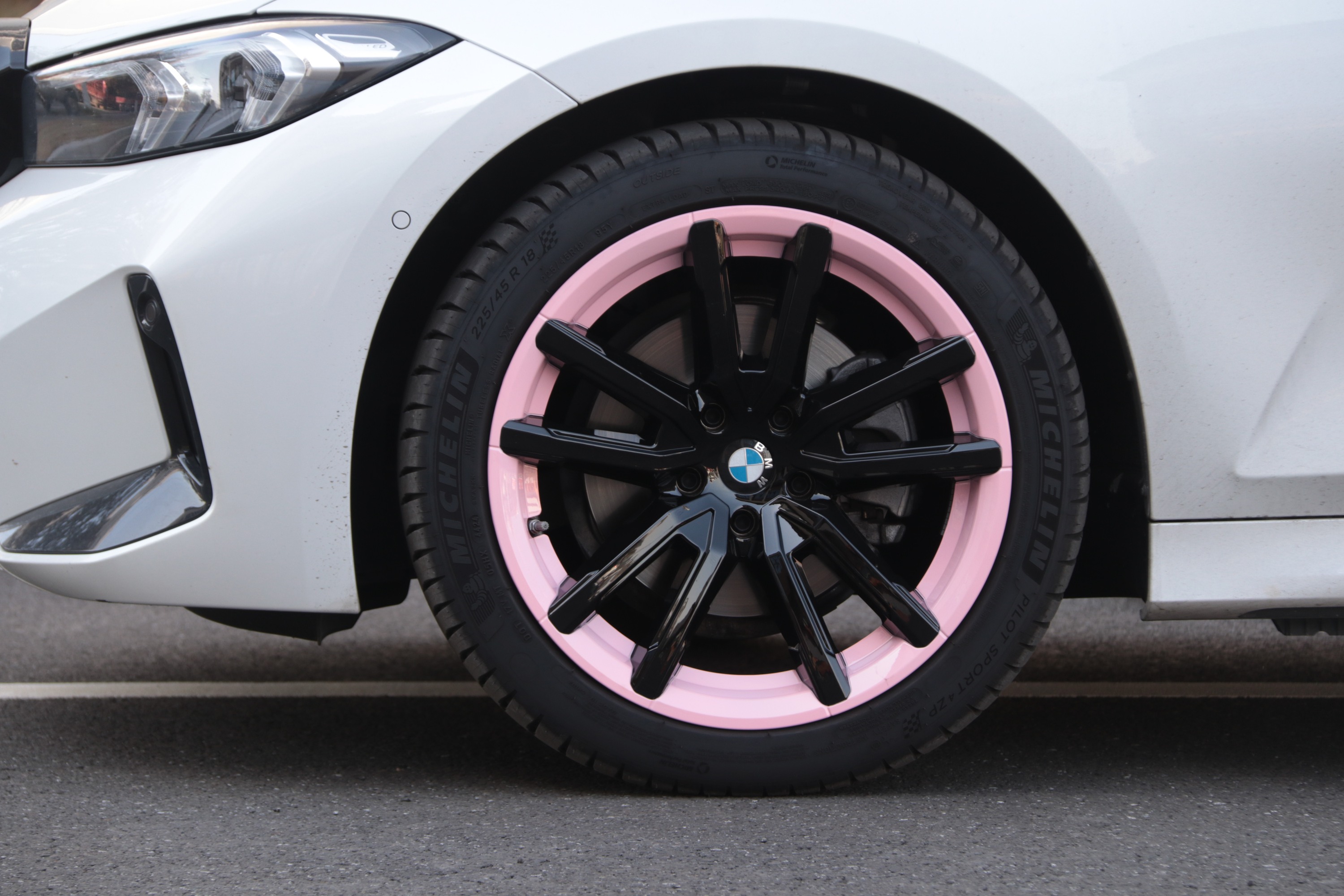 Sakura Pink and Black Two-Tone