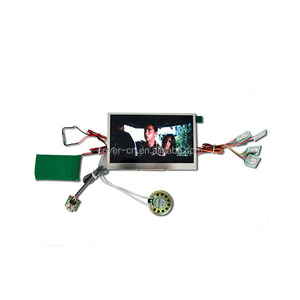 Подгонянный модуль дисплея экрана lcd для брошюры буклета lcd - Product Image 1
