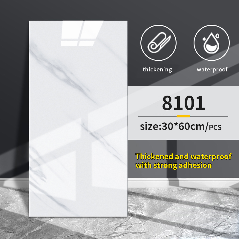 8101