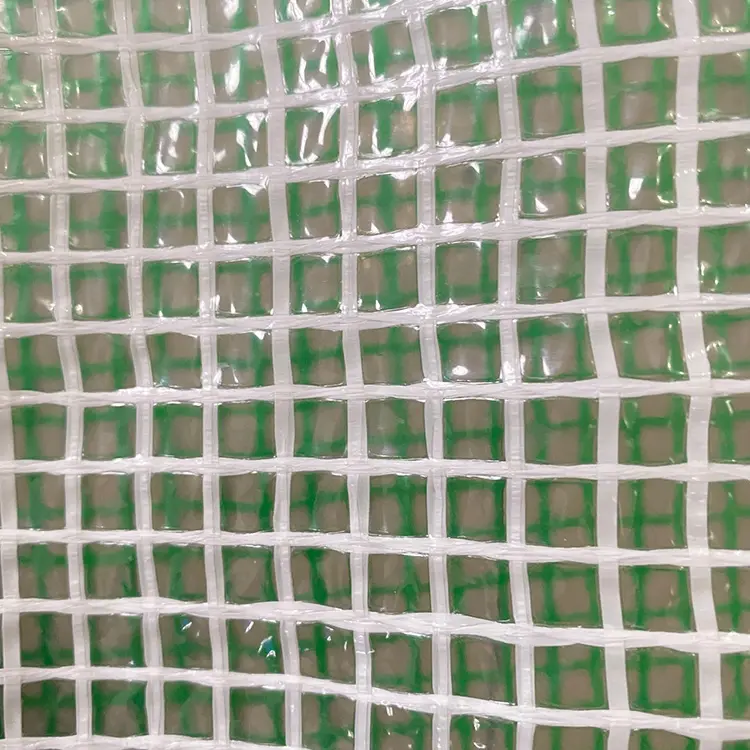 China Factory Reinforce Scaffolding Sheeting PE Scaffold Net Tarp Tarpaulin Roll Cover for Industry House Garden