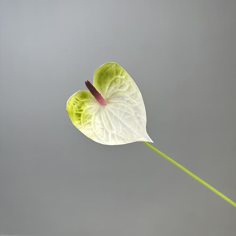 Bianco verde