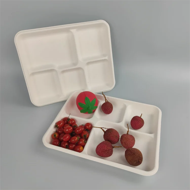 5 compartment bagasse plate
