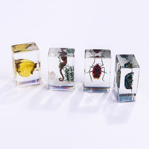 El yapımı şeffaf reçine el sanatları-böcek numune Paperweights hayvan akrep Bug görüntüler bilimsel ekran böcek reçine - Product Image 4