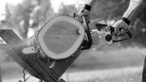 CS3180-S180 Trofessional Lightweight 31.8cc <strong>Chain</strong> Saw for <strong>MS180</strong> Fast Tree Trimming - Product Image 4